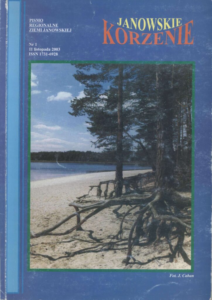 Brzeg rzeki z piaszczystą plażą i widocznymi korzeniami drzew pod niebieskim niebem z chmurami.