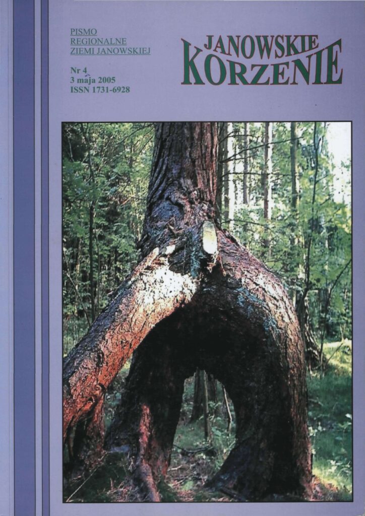 Pień drzewa z rozgałęzieniem tworzącym naturalny łuk, otoczony zielonym lasem.