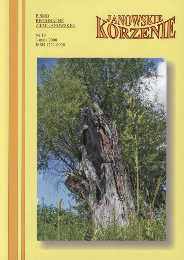 Suchy pniak drzewa na tle zielonych krzewów i niebieskiego nieba, trawy na pierwszym planie.