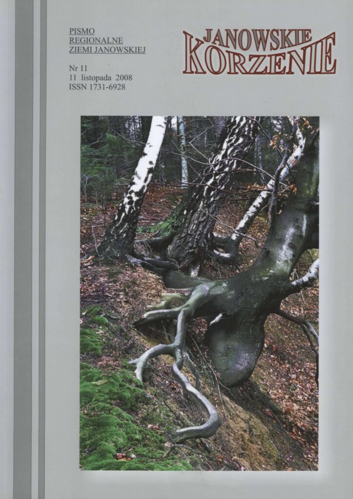 Drzewa o białej i ciemnej korze, omszałe pnie i korzenie na leśnym stoku z liśćmi i ziemią.