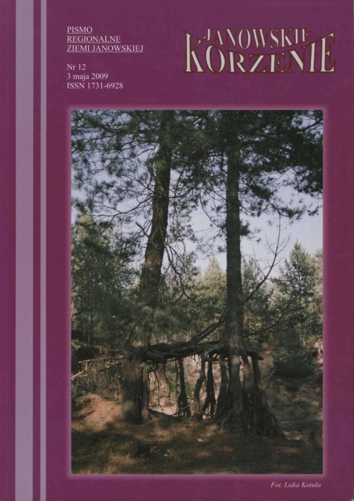 Dwa drzewa z widocznymi korzeniami unoszącymi się nad ziemią, las sosnowy, niebieskie niebo, fioletowa ramka.