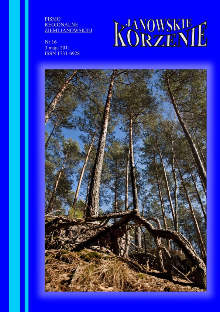 Pnie i korzenie drzew na stoku, niebo w tle, zielone igły, brązowa ziemia i trawa.