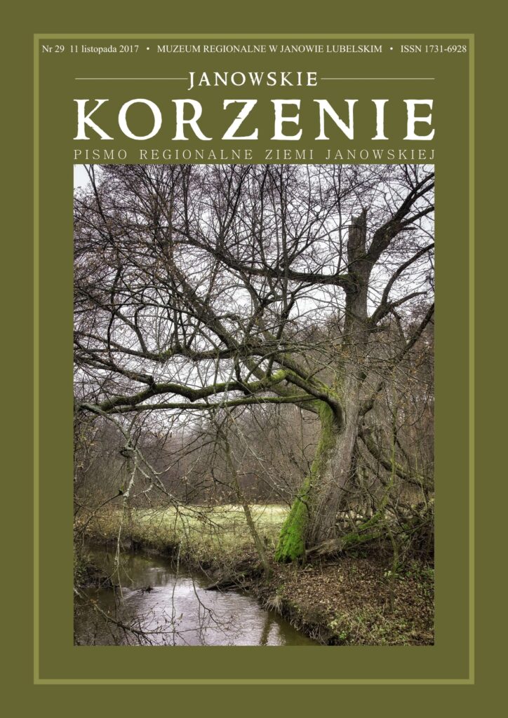 Drzewa bez liści z mchem przy brzegu wąskiego strumienia, jesienna szaro-zielona sceneria.